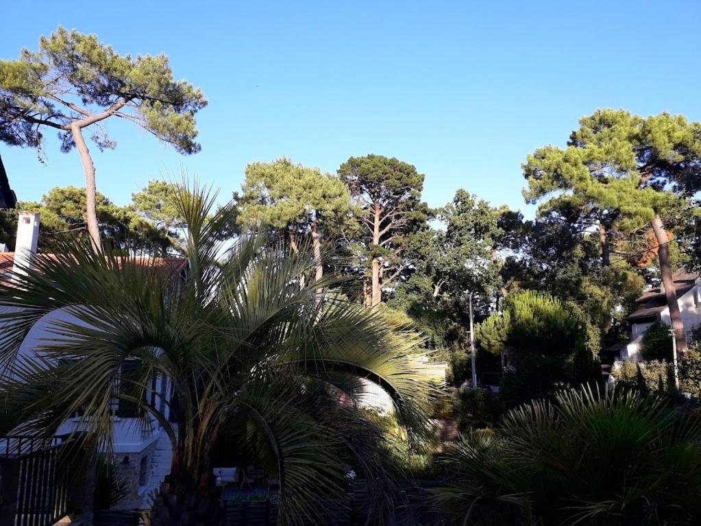 Belle De Dune La Baule Dış mekan fotoğraf